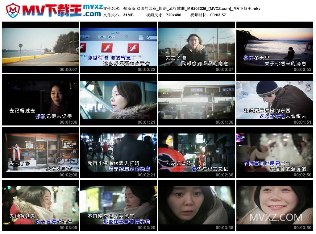张斯斯-温暖的寒意_国语_流行歌曲_MB203225